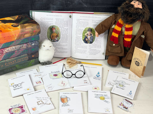 Harry Potter Mega Super Set